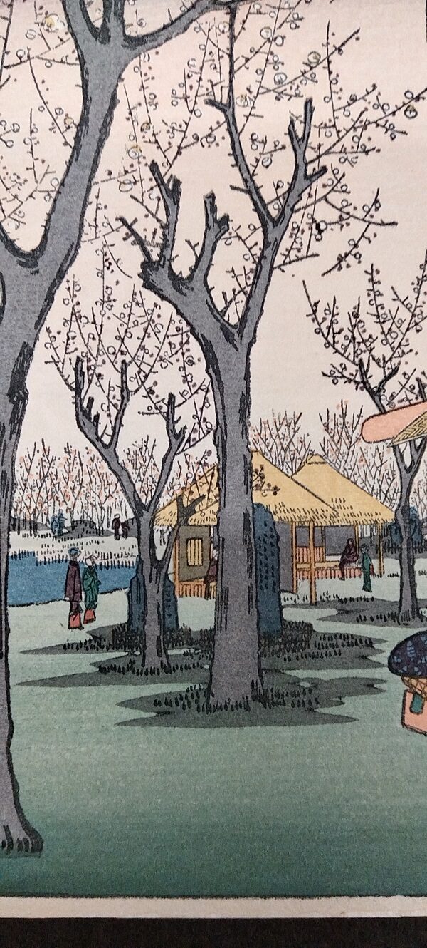 UTAGAWA HIROSHIGE,Il frutteto di prugni di Kamada,1857 - immagine 9