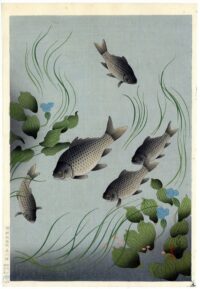 Shinhanga originale Ohno Bakufu, Carpe e piante acquatiche,1950