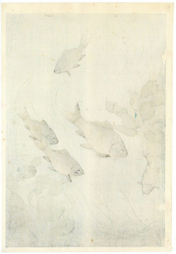 Shinhanga originale Ohno Bakufu, Carpe e piante acquatiche,1950 - immagine 2