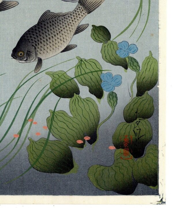 Shinhanga originale Ohno Bakufu, Carpe e piante acquatiche,1950 - immagine 4