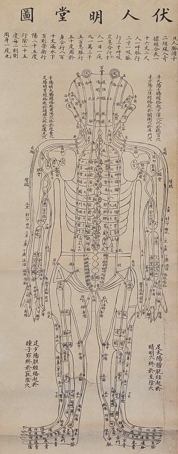 QU-836 Diagramma Antico per Agopuntura (Ming Tang Tu), fine'800 - primi'900 - immagine 1